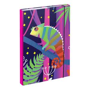 Dosky na školské zošity A4 Chameleon