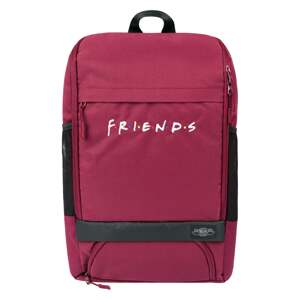 Batoh Friends