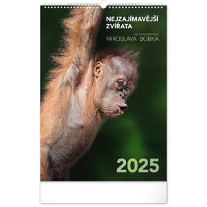 Nástenný kalendár Najzaujímavejšie zvieratá 2025, 33 × 46 cm