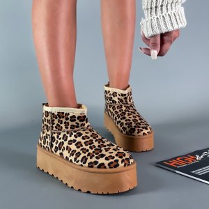 Leopardie snehule