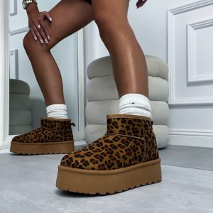 Leopardie snehule